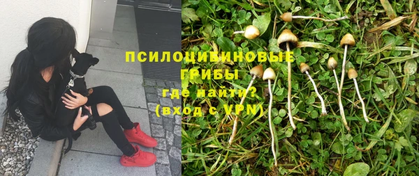 jwh Касимов