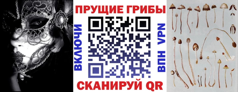 Псилоцибиновые грибы MAGIC MUSHROOMS  наркотики  Сковородино 